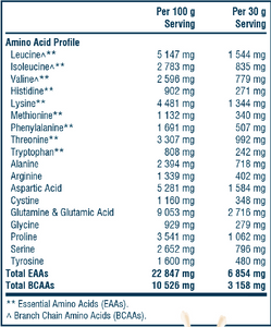 Ultimate Youth Protein Recovery [600g]