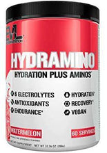 Load image into Gallery viewer, EVLution Nutrition Hydramino [147g]
