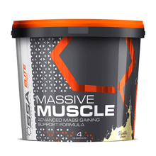 Load image into Gallery viewer, Mass Gainer SSA Massive Muscle [4kg]
